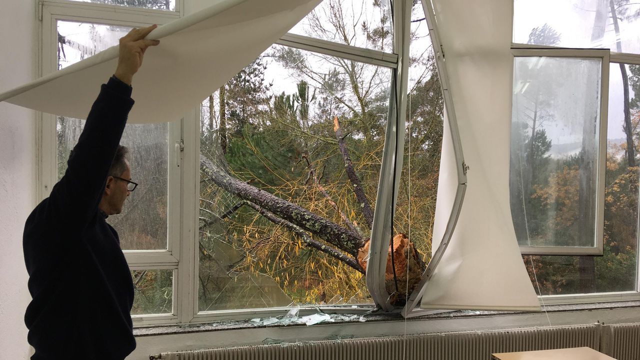 ASÍ HA CASTIGADO EL TEMPORAL A OURENSE.Árbol caído sobre la Universidad Laboral