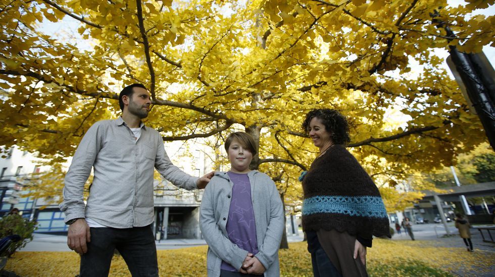Otoño. bosque de ginkgo en Cuatro Caminos