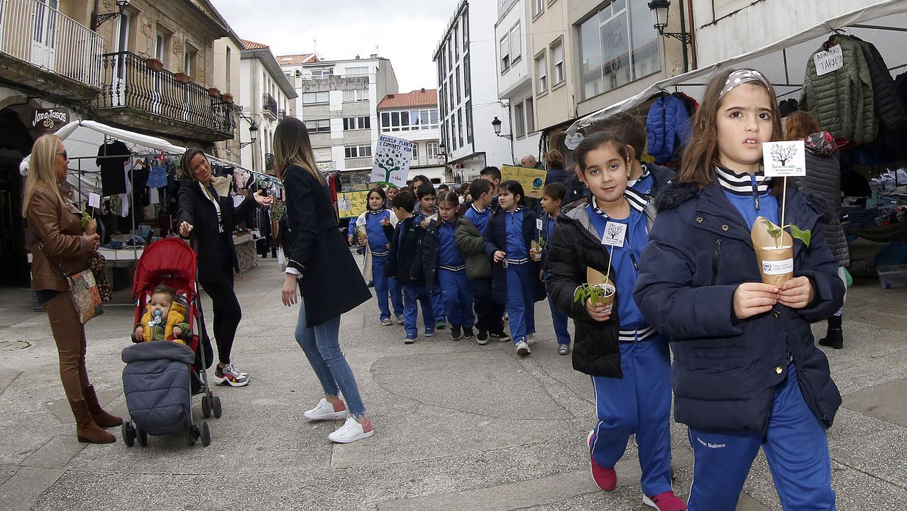 Voz Natura final del colegio Jaime Balmes, entrega de brotes de hortalizas de su huerto escolar 2020