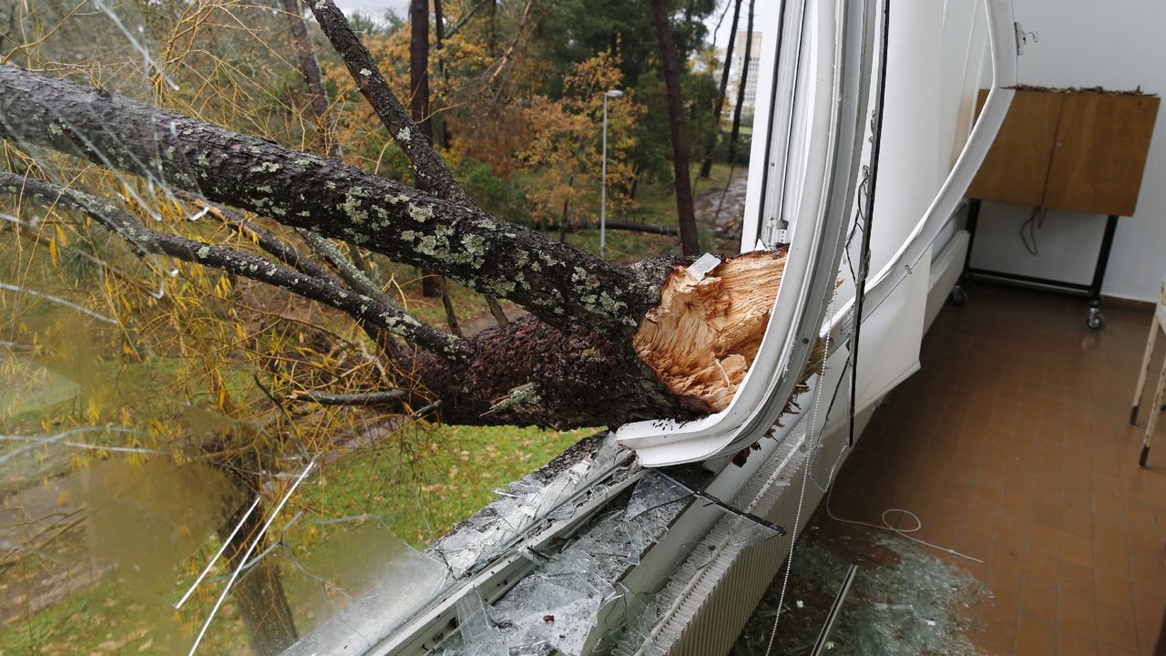 ASÍ HA CASTIGADO EL TEMPORAL A OURENSE.Las comarcas de A Limia y de Verín han sufrido daños en el campo y en edificaciones