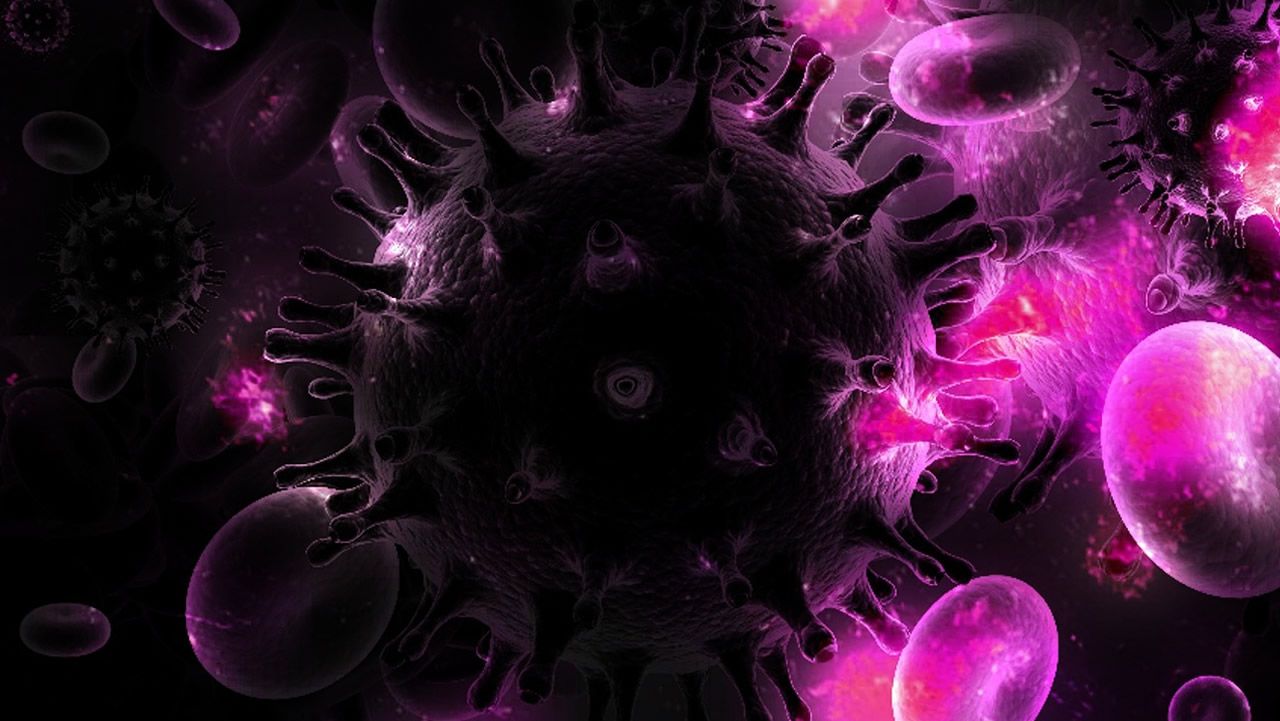 Cient�ficos espa�oles eliminan el VIH con trasplante de c�lulas madre.P��bo, convencido de que nunca se recrear�n especies de hace millones de a�os