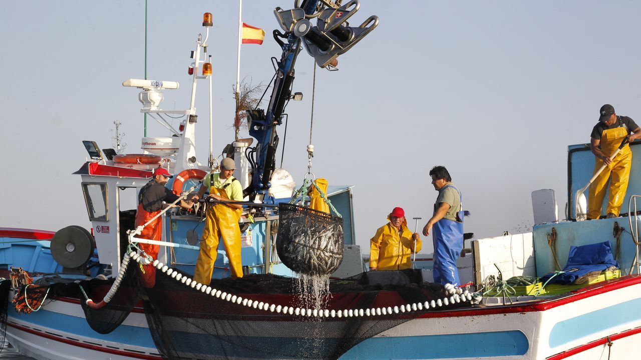 Pesca de sardina para San Juan.