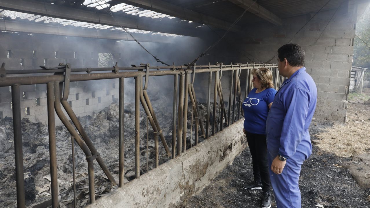 Un establo totalmente destrozado por un incendio en Trasmonte (Friol)