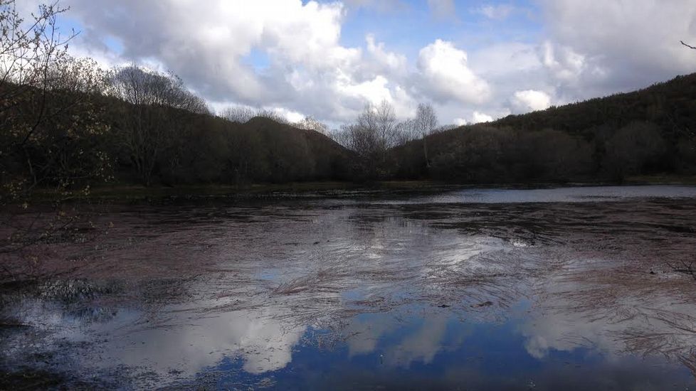 Aspecto actual de la laguna de Lucenza, en una imagen tomada a finales de la semana pasada