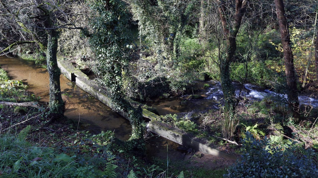 Atranco no río Cañón