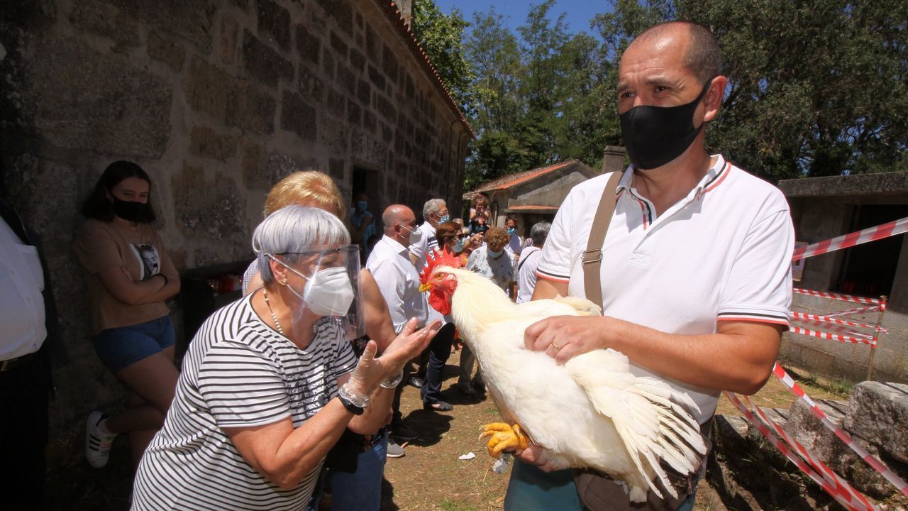 MISA EN SAN BENITO DE SERANS CON LA SUBASTA DE GALLOS