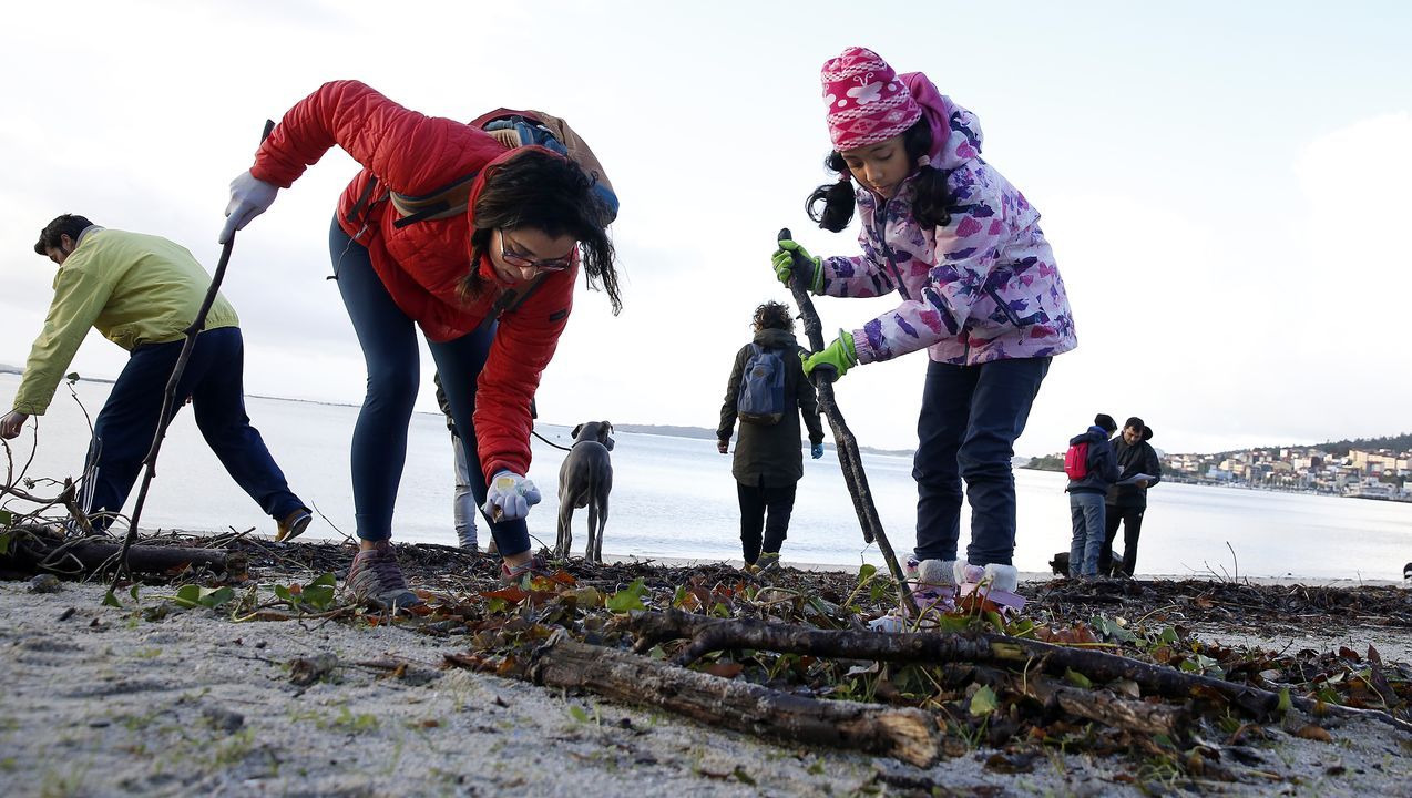 boiro. limpieza de playa de barraña del programa ecomar de jealsa