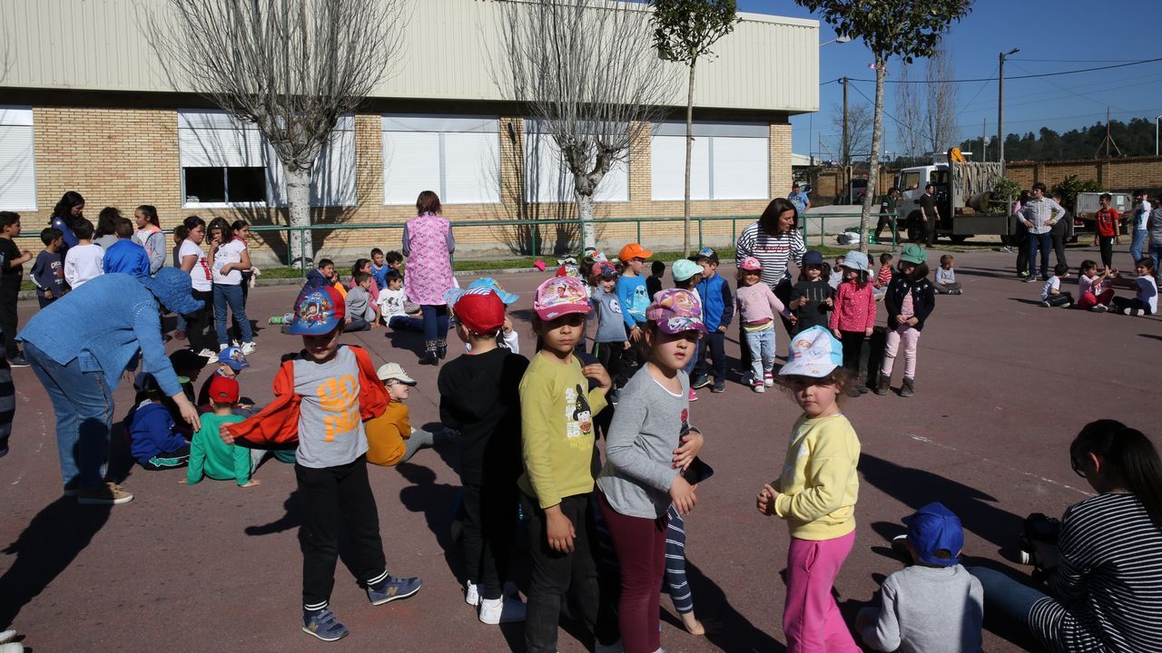 El colegio de Seixalbo disfrutó del día de árbol con un acto simbólico en el centro