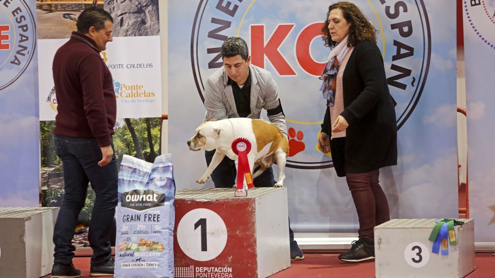 III Exposición Canina de Ponte Caldelas