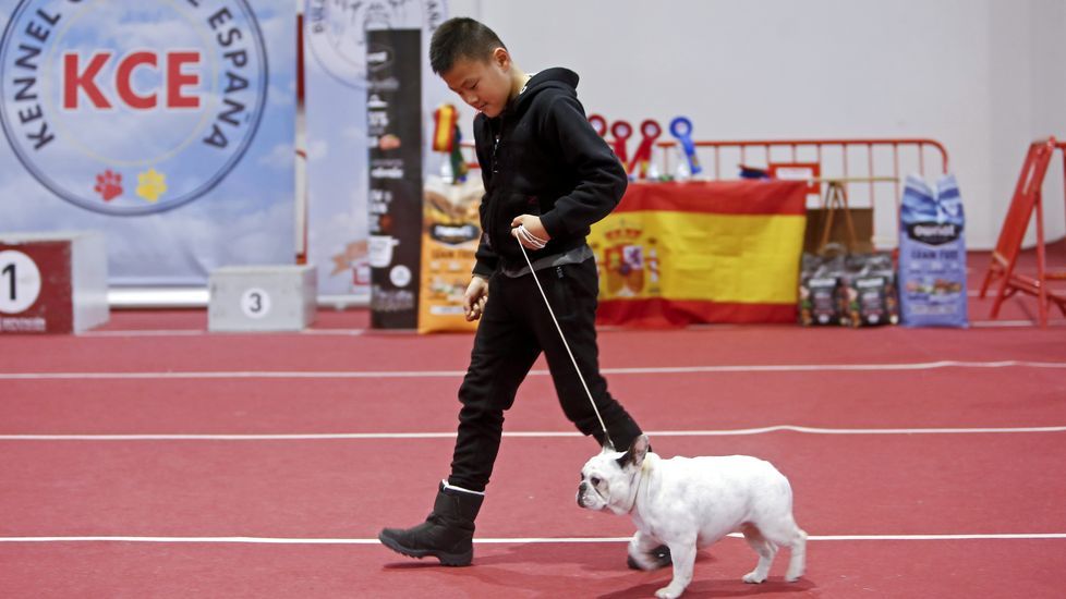 III Exposición Canina de Ponte Caldelas