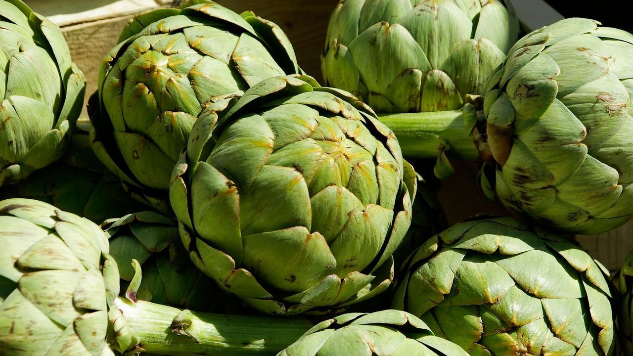 seijas.As rutinas son necesarias desde os primeiros anos de vida