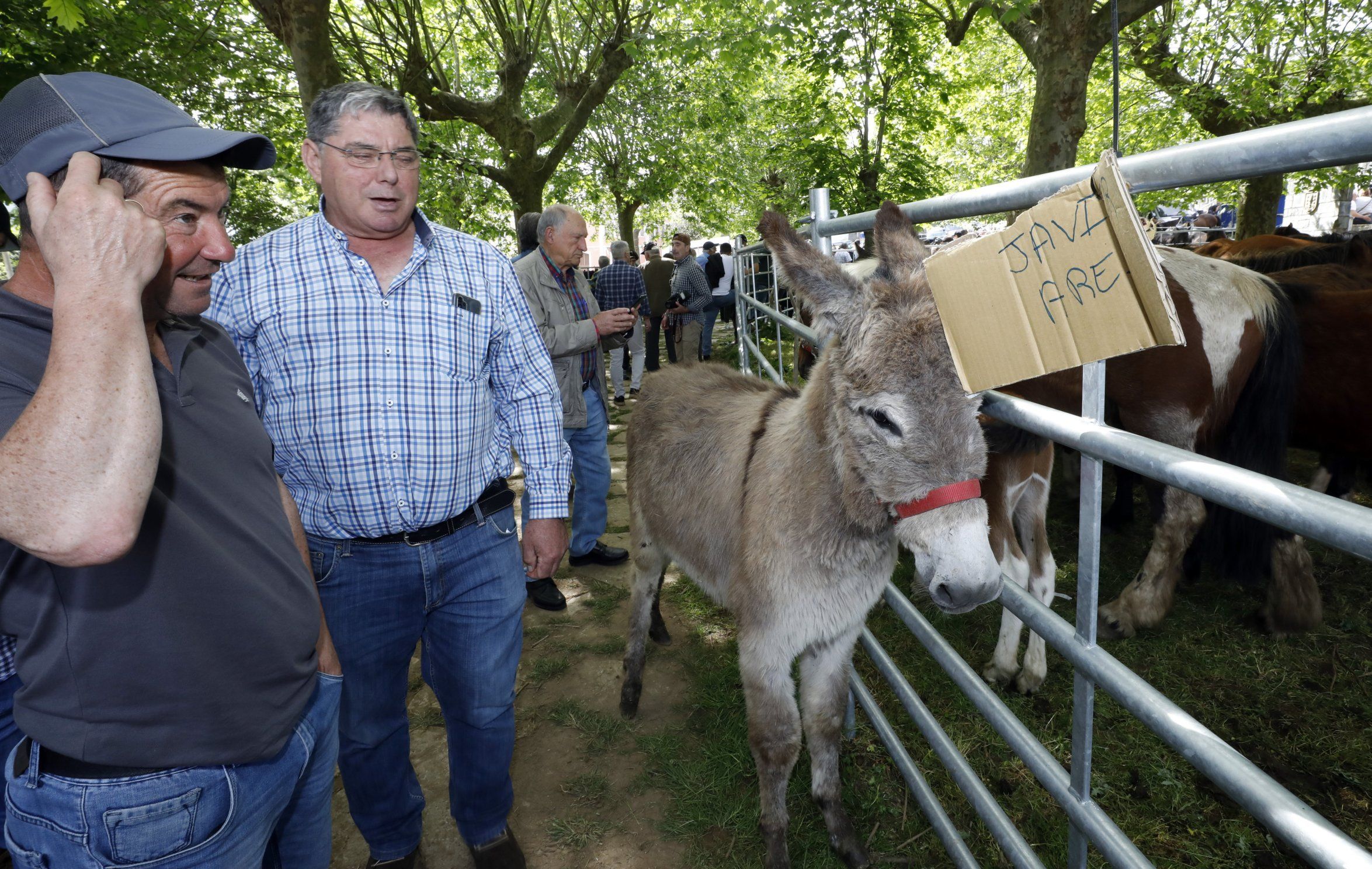 Festa das Quendas en Mondo�edo. 03/05/2023