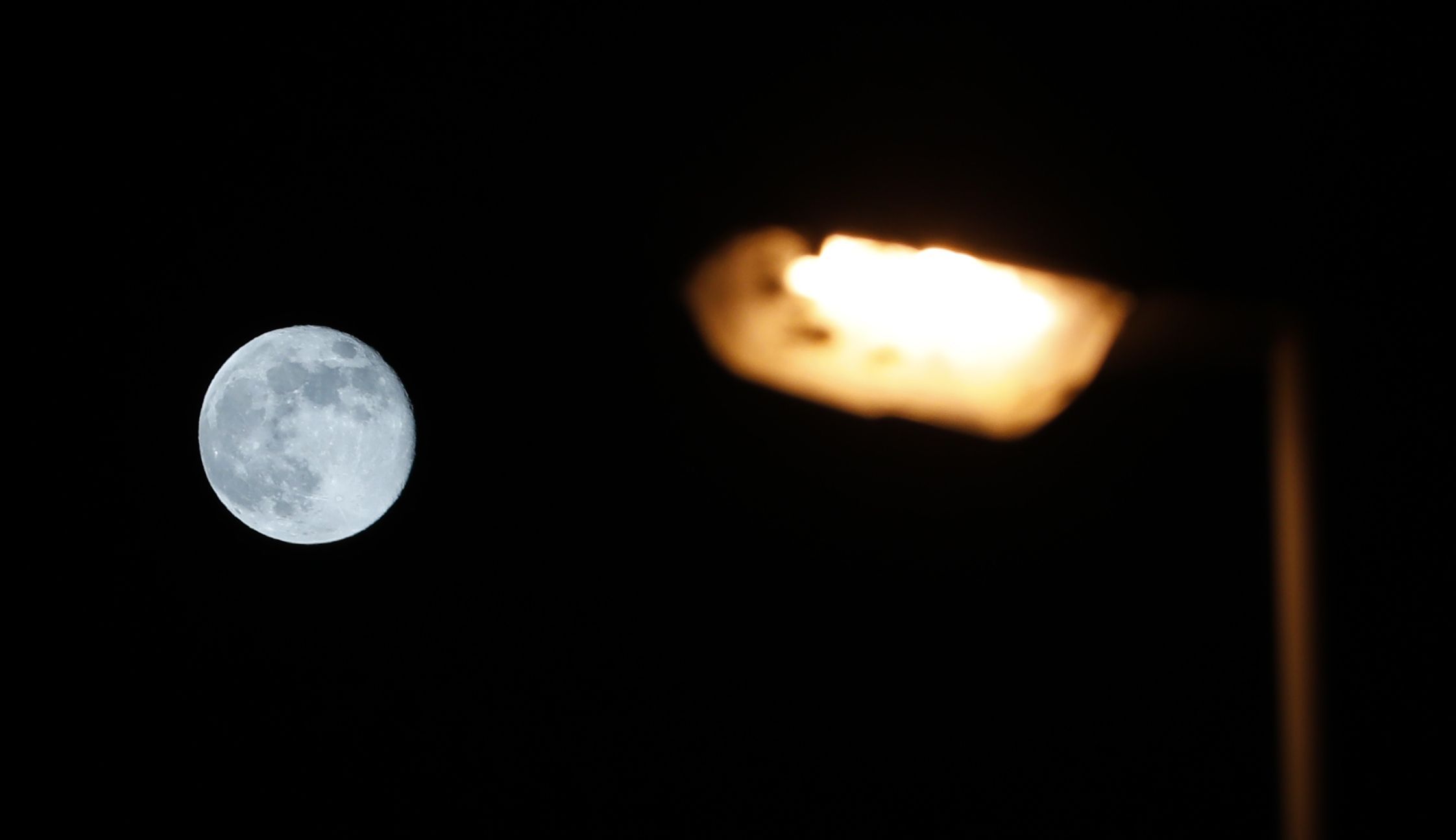 La chea en Viveiro. 11/11/2024