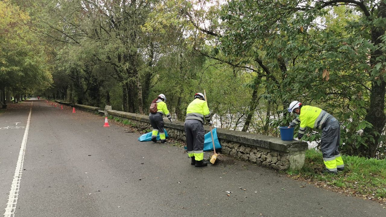 Mejoras del Muramiñae Rehabilita en el Paseo do Miño
