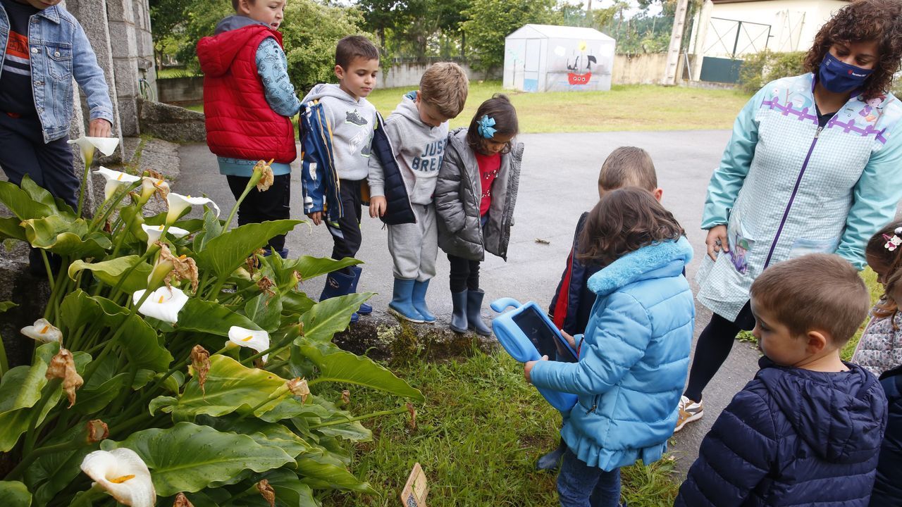 Alumnos de escuela unitaria del Saiar, que pertenece al CRA de Caldas de Reis, colocaron ayer los tableros con los códigos QR