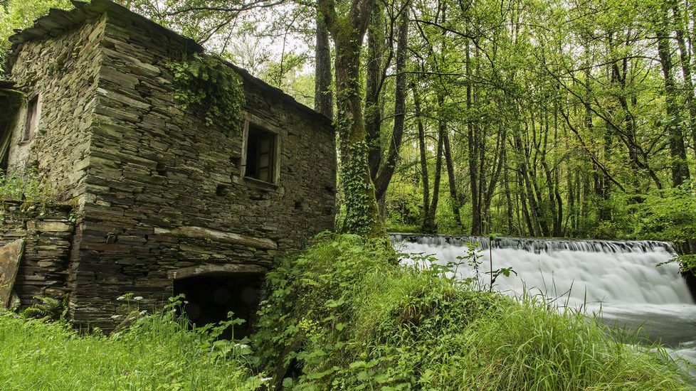 El molino de la Casa de Olmo es uno de los tres que funcionaron en la localidad