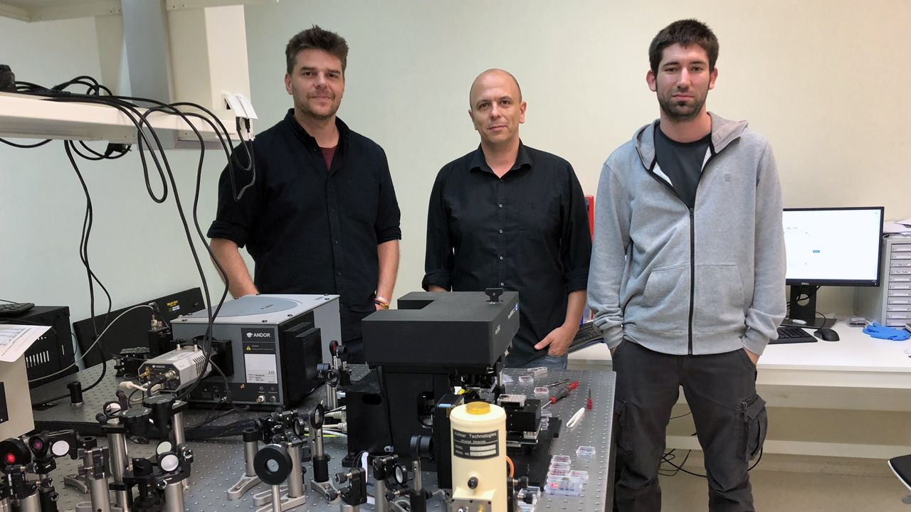 Este es el sorprendente descubrimiento�realizado en los Picos de Europa.Pablo Alonso Gonz�lez, Javier Mart�n S�nchez y Javier Taboada Guti�rrez