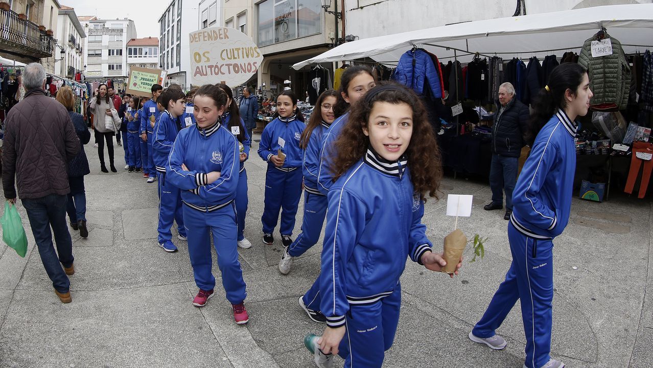 Voz Natura final del colegio Jaime Balmes, entrega de brotes de hortalizas de su huerto escolar 2020