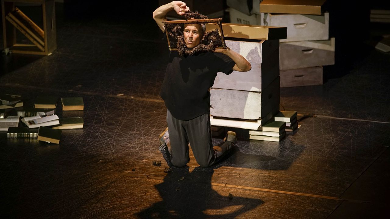 O mel non caduca , de Ibuprofeno Teatro