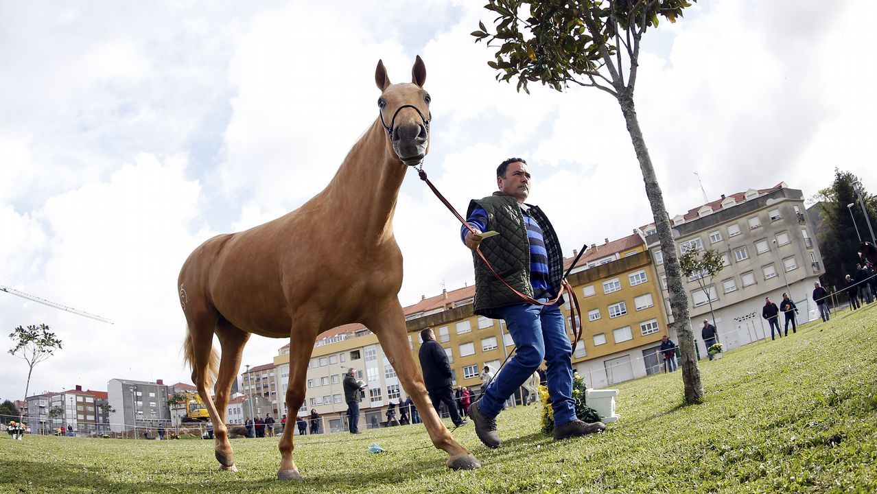 Feria caballar en las Fiestas de San Marcos 2019