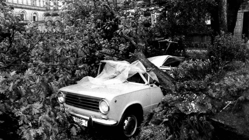 Coche aplastado por un árbol derribado en San Caetano, Santiago.
