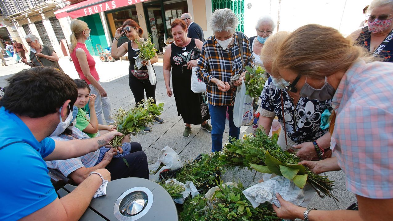 Venta de atados de hierbas de San Xoán en la Plaza de Abastos
