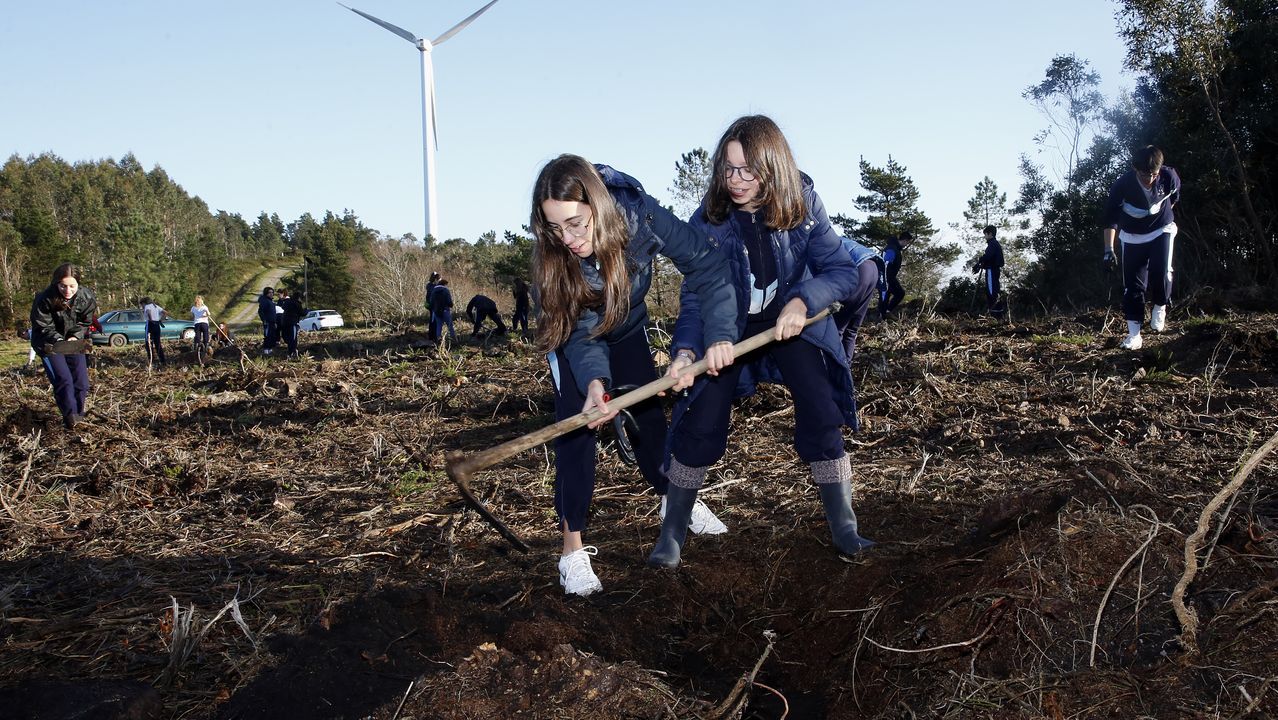 Salida de reforestación en Lousame-Noia, plantación de árboles en Froxán alumnos del colegio Colegio San José de Cluny