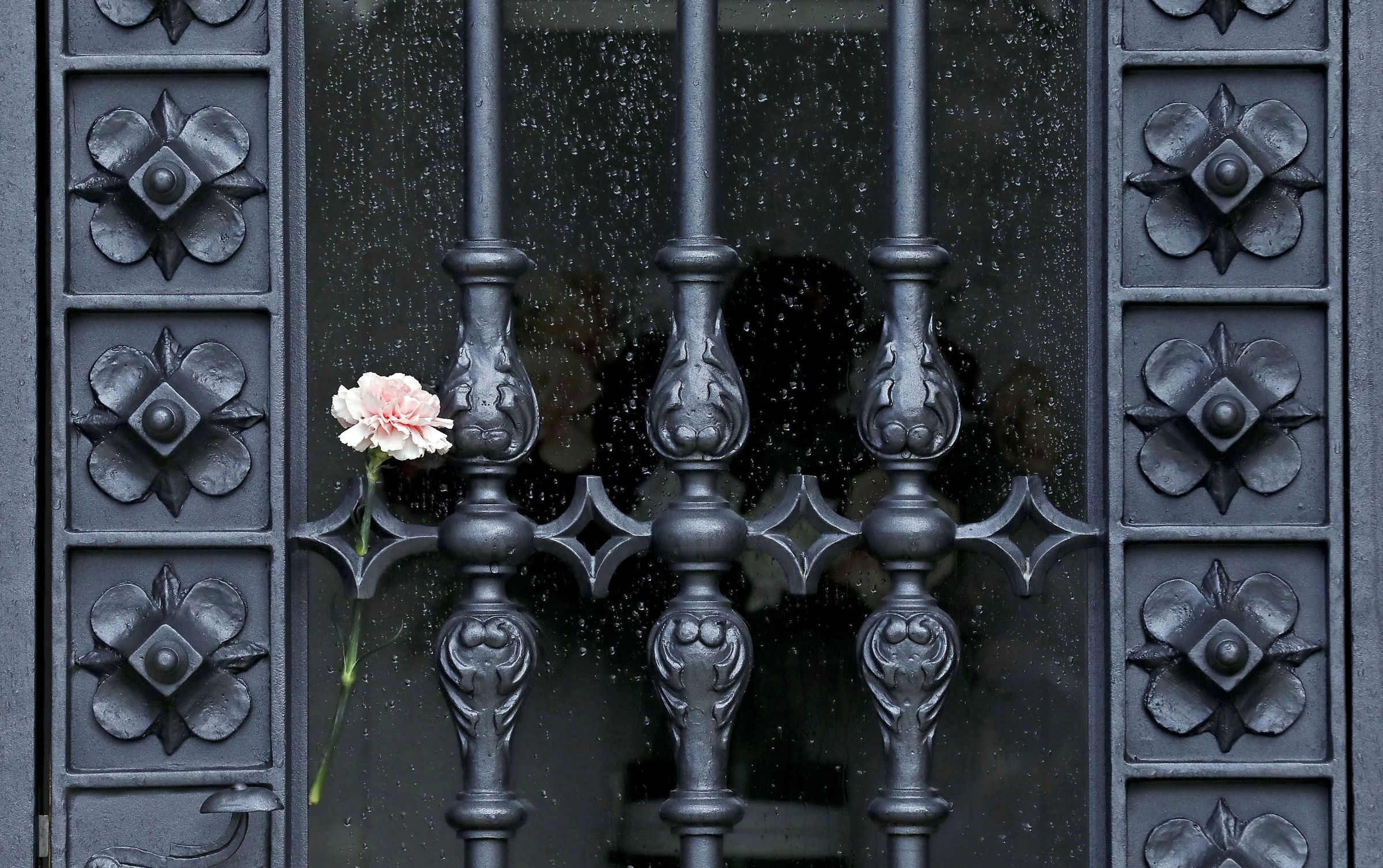 Rosa nun pante�n no d�a de Difuntos no cemiterio de Boisaca en Santiago de Compostela. 1/11/2021