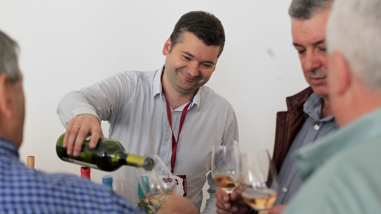 Túnel del vino en Fevino