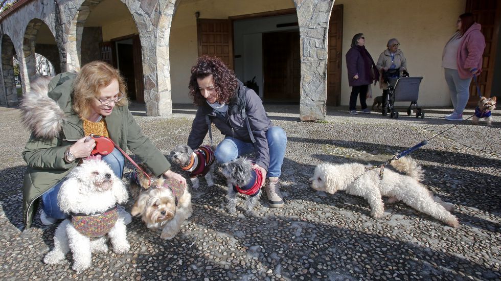 Bendición de mascotas en la iglesia de Campolongo