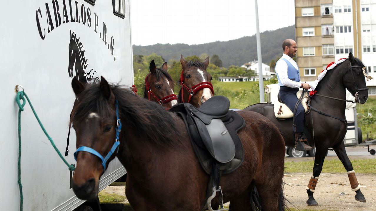 Feria caballar en las Fiestas de San Marcos 2019