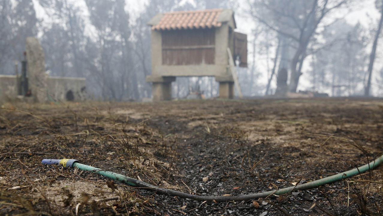 Las consencuencias del fuego en Melón