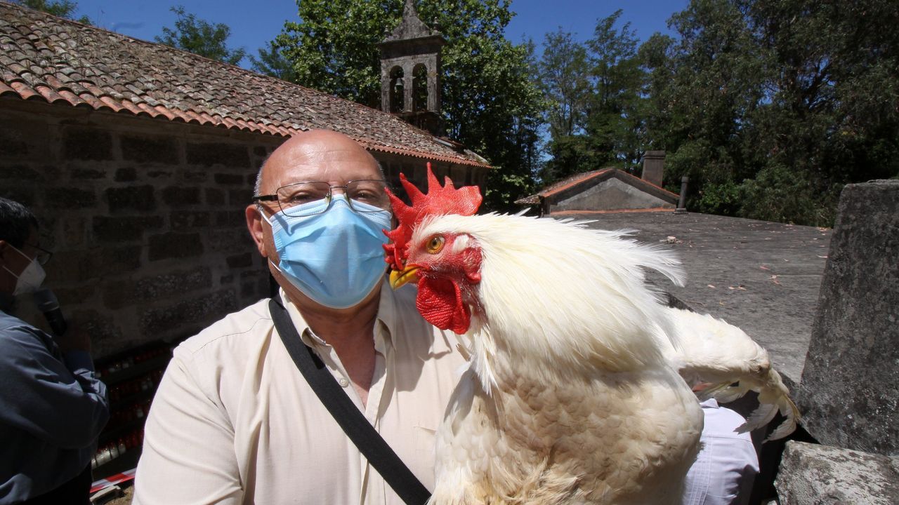 MISA EN SAN BENITO DE SERANS CON LA SUBASTA DE GALLOS