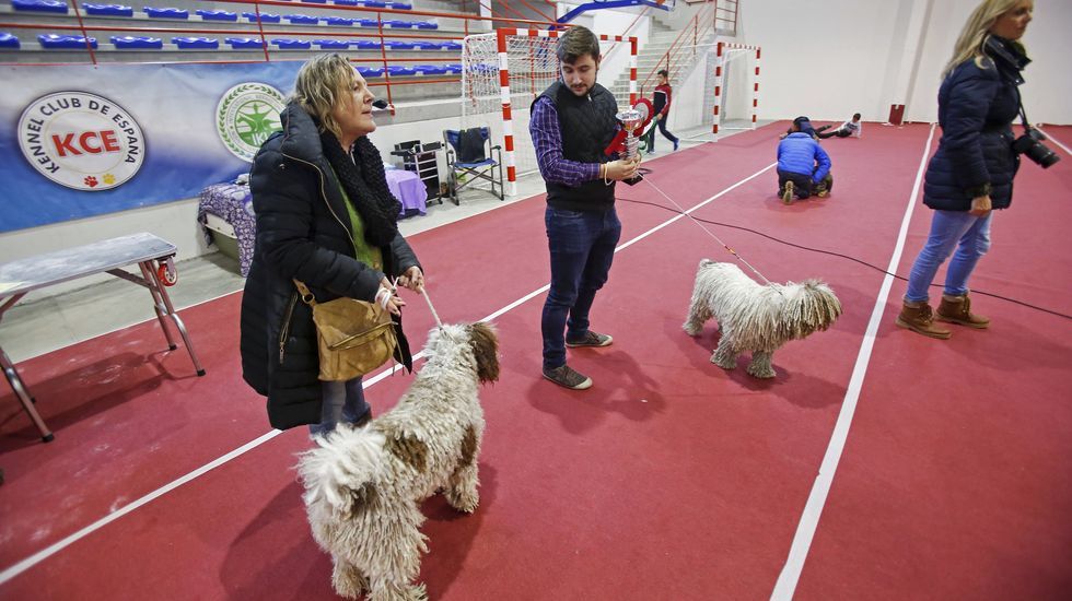 III Exposición Canina de Ponte Caldelas