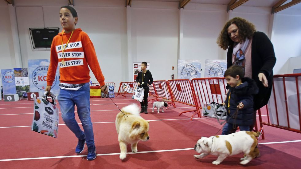 III Exposición Canina de Ponte Caldelas