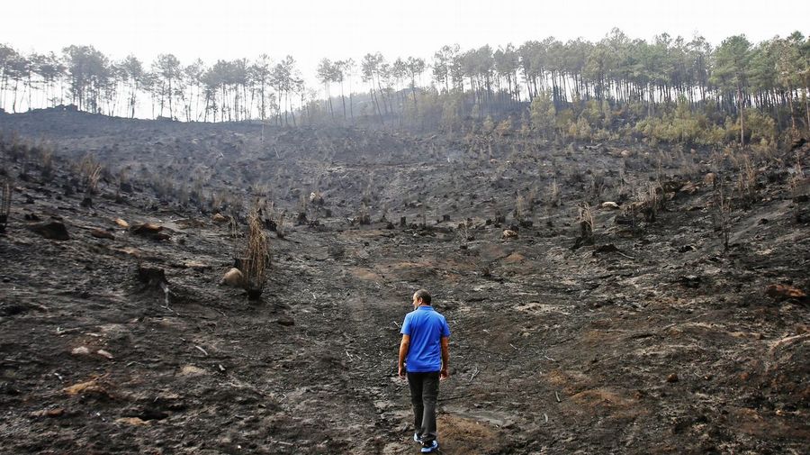 Incendios - Galiza, incendios: La Xunta admite que en As Fragas do Eume han ardido 750 hectáreas.  - Página 3 V17o7548