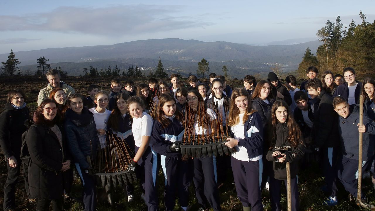 Salida de reforestación en Lousame-Noia, plantación de árboles en Froxán alumnos del colegio Colegio San José de Cluny