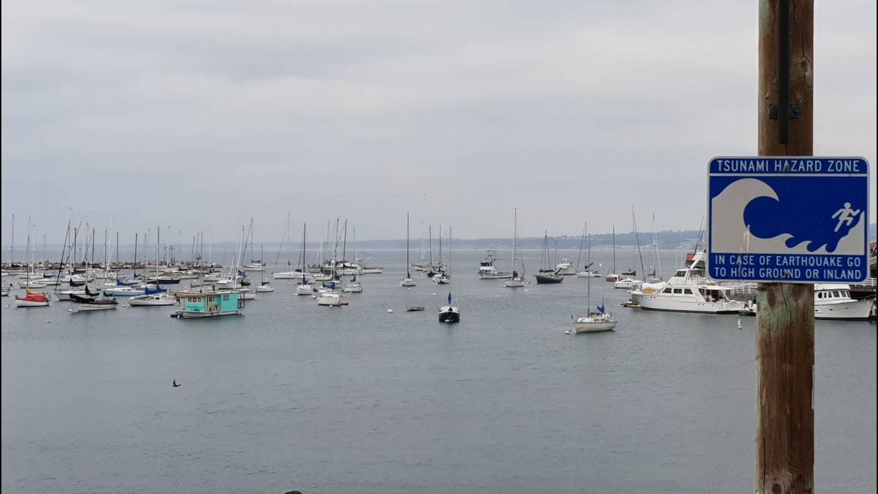 Los m�s peque�os de Ribeira celebraron el D�a del �rbol.Clara Millares, en el mismo instante en que los �rbitros la declararon vencedora