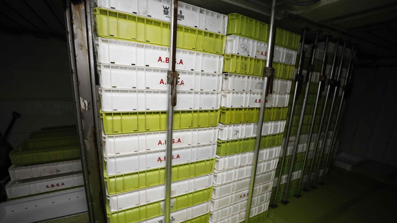 En estas cajas plásticas, con hielo en escamas, guardan el pescado en las neveras del barco