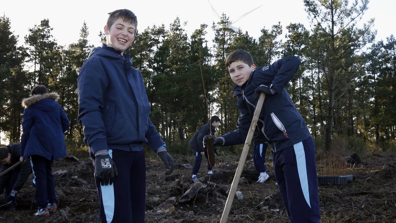 Salida de reforestación en Lousame-Noia, plantación de árboles en Froxán alumnos del colegio Colegio San José de Cluny