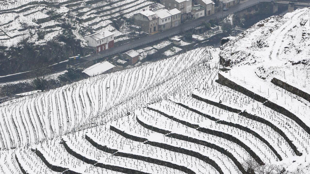 La nieve que deja el temporal cubre los bancales de las viñas de la Ribeira de A Ermida.