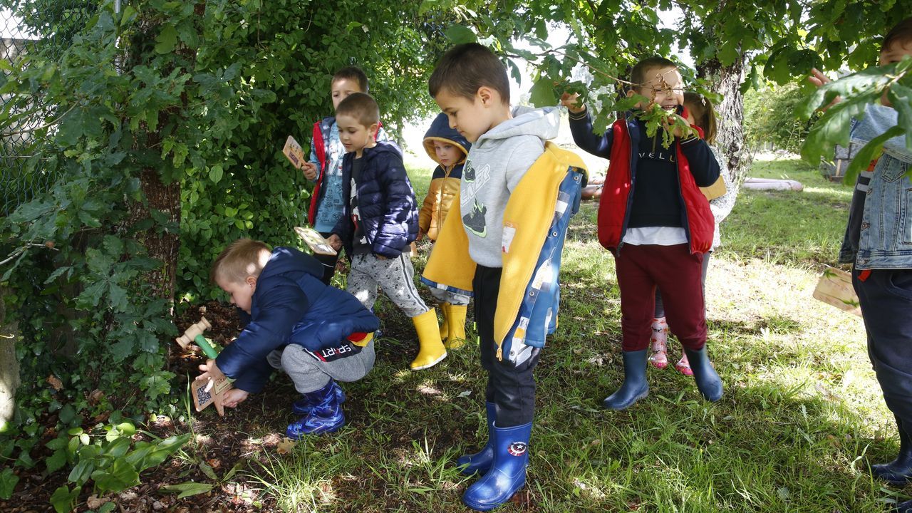 Alumnos de escuela unitaria del Saiar, que pertenece al CRA de Caldas de Reis, colocaron ayer los tableros con los códigos QR