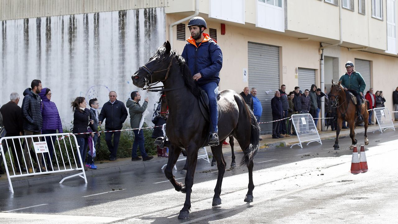Feria caballar en las Fiestas de San Marcos 2019
