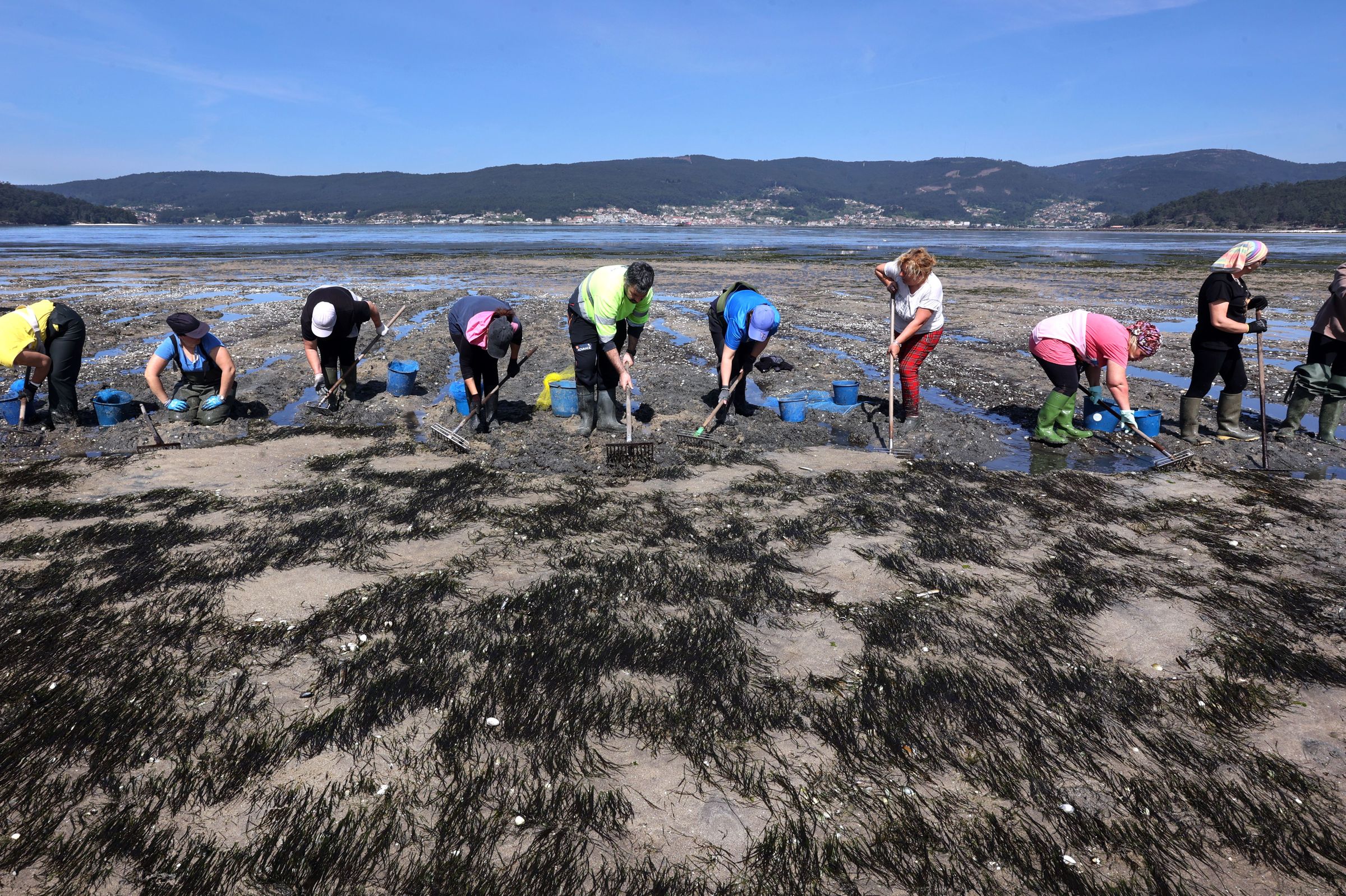 Mariscadoras de Louriz�n trabajando en abril del 2024 para mejorar la productividad