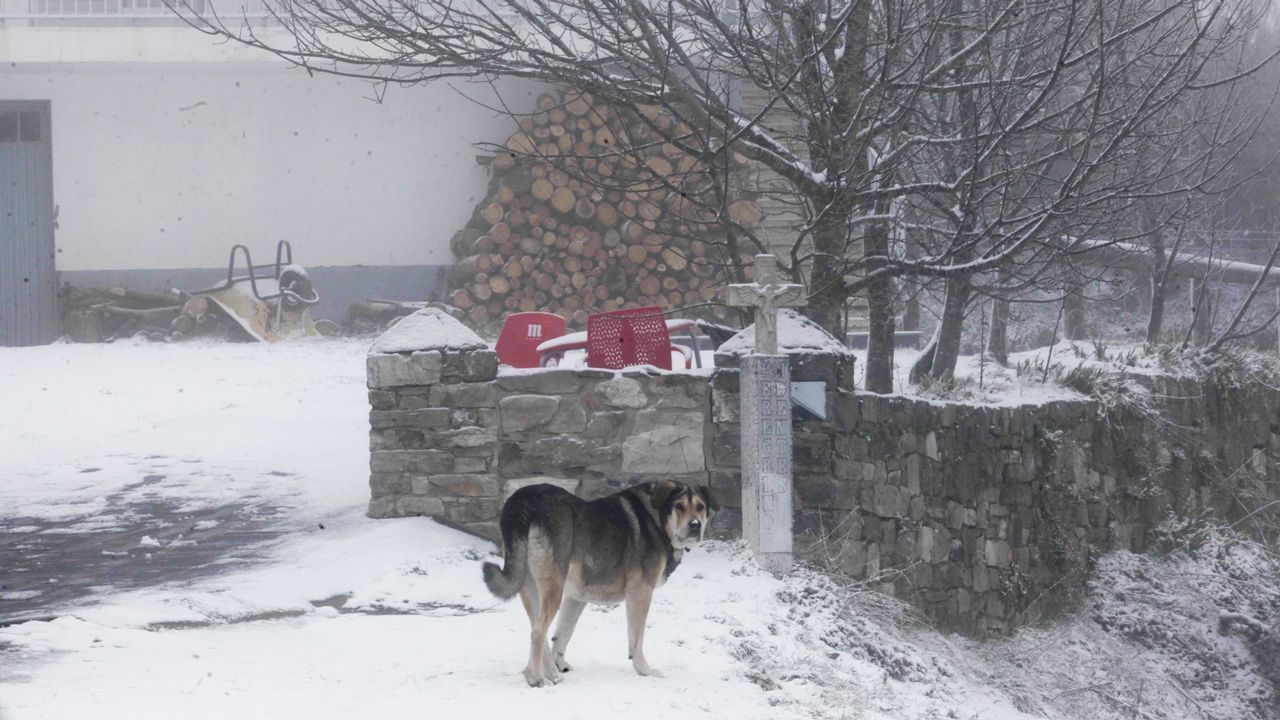 Nieve en O Cebreiro