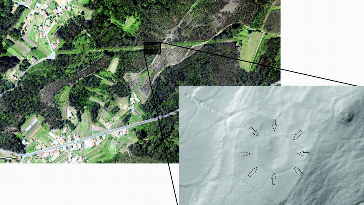 Los m�s peque�os de Ribeira celebraron el D�a del �rbol.Clara Millares, en el mismo instante en que los �rbitros la declararon vencedora