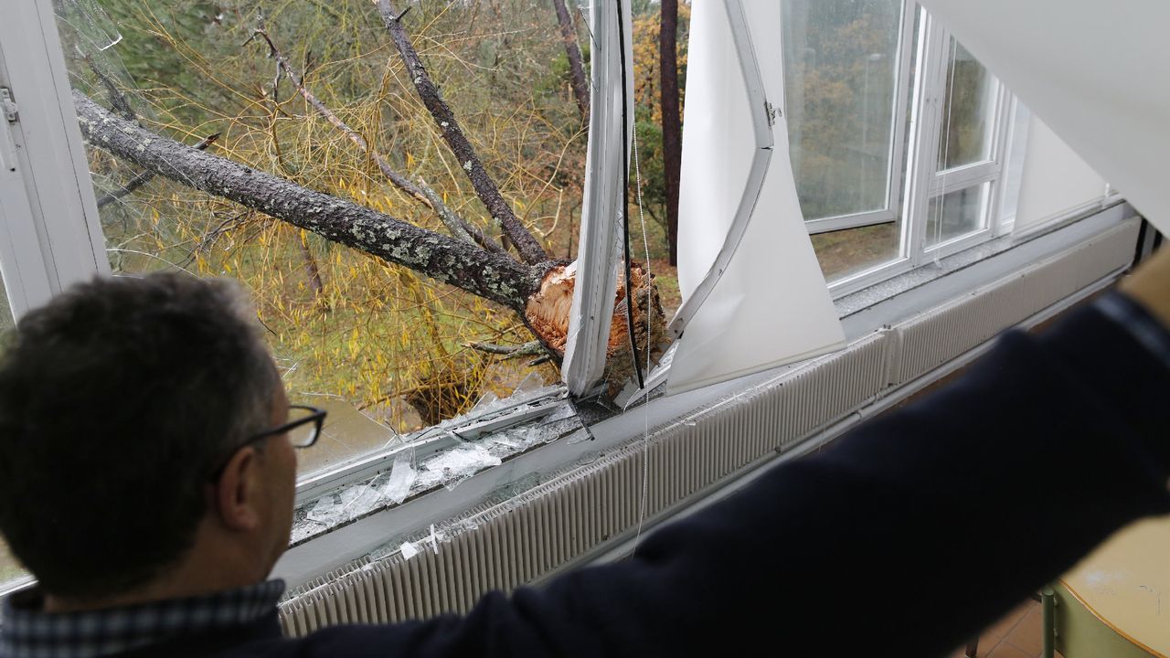 ASÍ HA CASTIGADO EL TEMPORAL A OURENSE.Las comarcas de A Limia y de Verín han sufrido daños en el campo y en edificaciones. En la Universidad Laboral también ha habido destrozos por árboles caídos