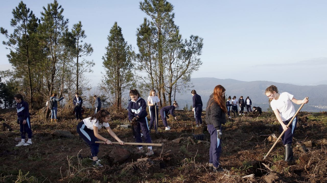 Salida de reforestación en Lousame-Noia, plantación de árboles en Froxán alumnos del colegio Colegio San José de Cluny