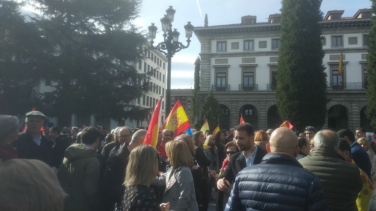 Manifestación por la unidad de España en Oviedo