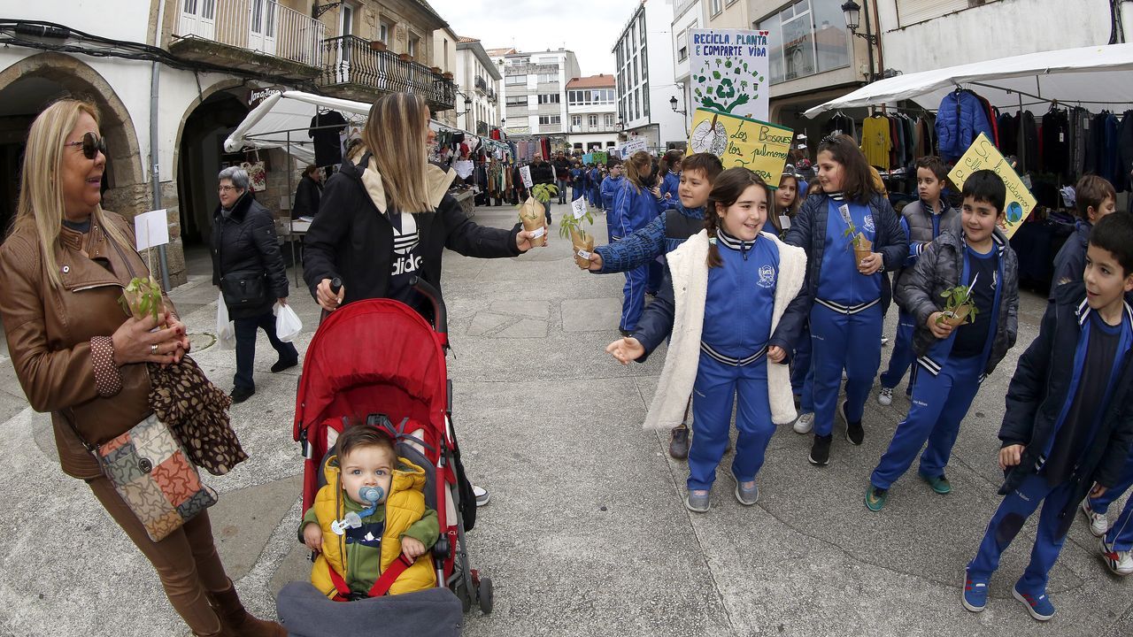 Voz Natura final del colegio Jaime Balmes, entrega de brotes de hortalizas de su huerto escolar 2020